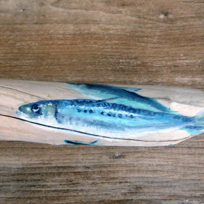 Sardines à l'acrylique, sur bois flotté ramassé en Suède